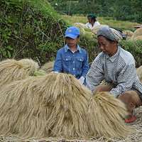 Photo de Bali - Autour de Munduk